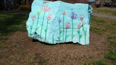 Bridging Families foster program expands in NC