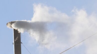Holy white smoke, we have a new pope!