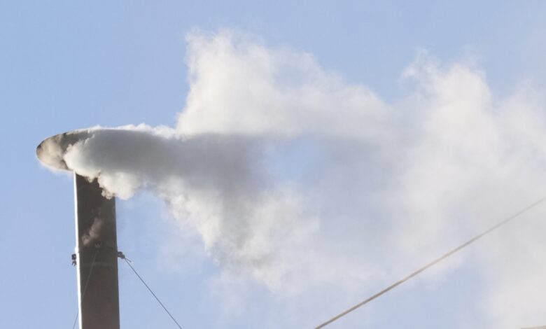 Holy white smoke, we have a new pope!